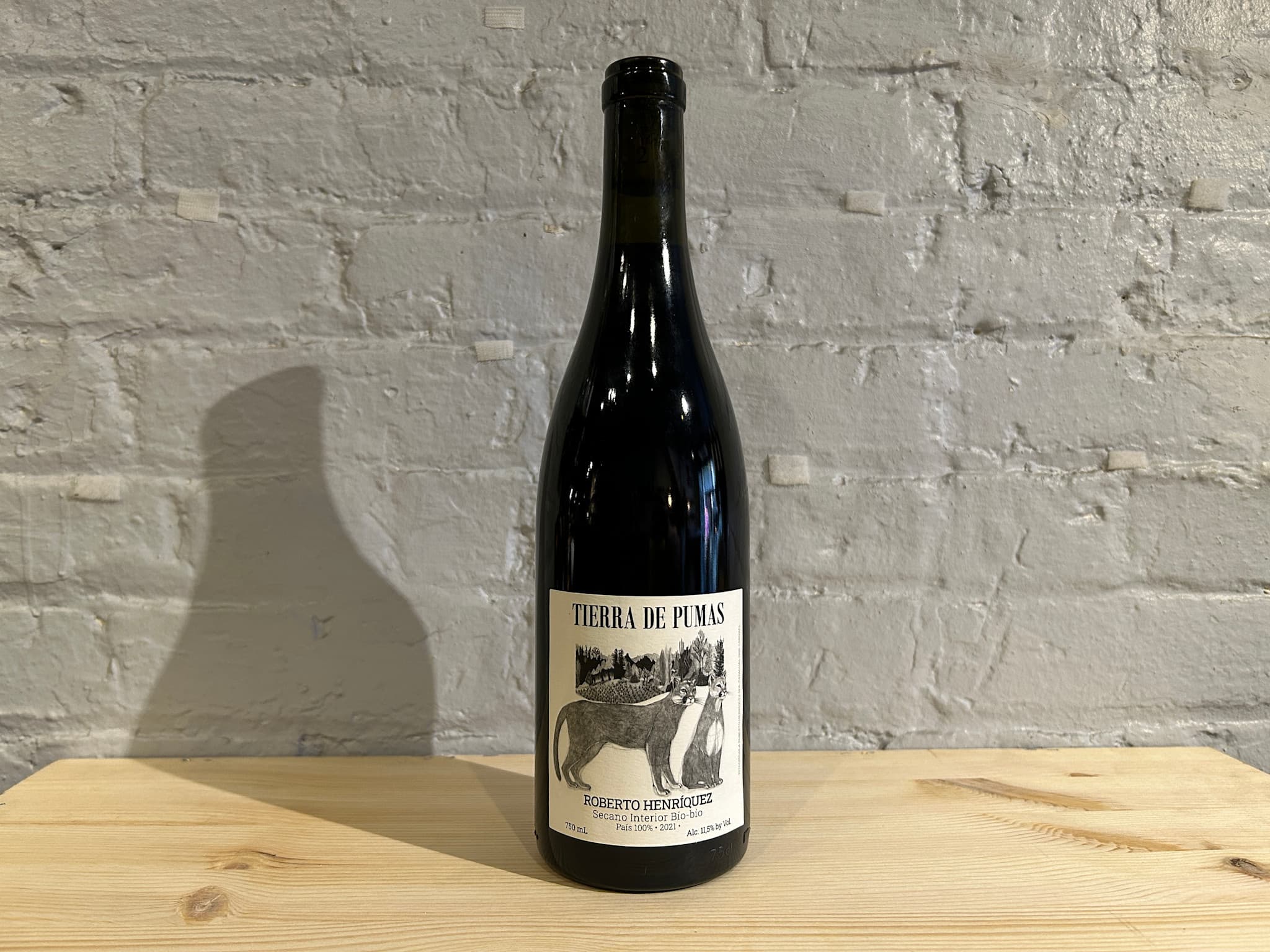 Roberto Henriquez Tierra de Pumas