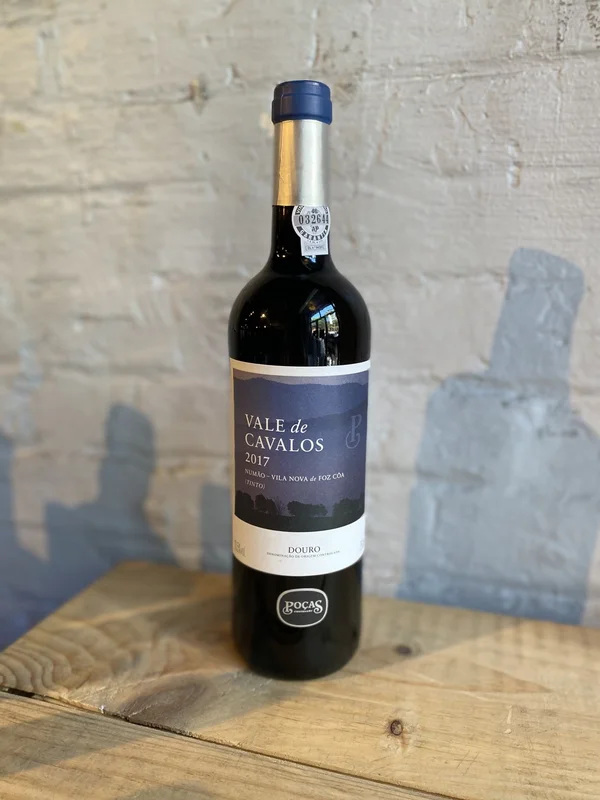 Poças Júnior Vale de Cavalos